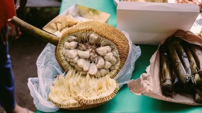 Health benefits of adding green jackfruit flour in the diet of diabetes patients (Photo by Denniz Futalan on Pexels) Health benefits of adding green jackfruit flour in the diet of diabetes patients (Photo by Denniz Futalan on Pexels)