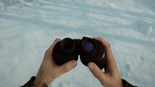 Sons of the Forest binoculars added in new update Sons of the Forest binoculars added in new update