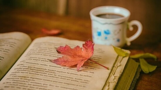 1. Make time for self-care: Take out time in your schedule for activities that help you relax and recharge. This could be anything from reading a book to taking a warm bath or practicing yoga or doing exercise. &nbsp;(Pixabay)