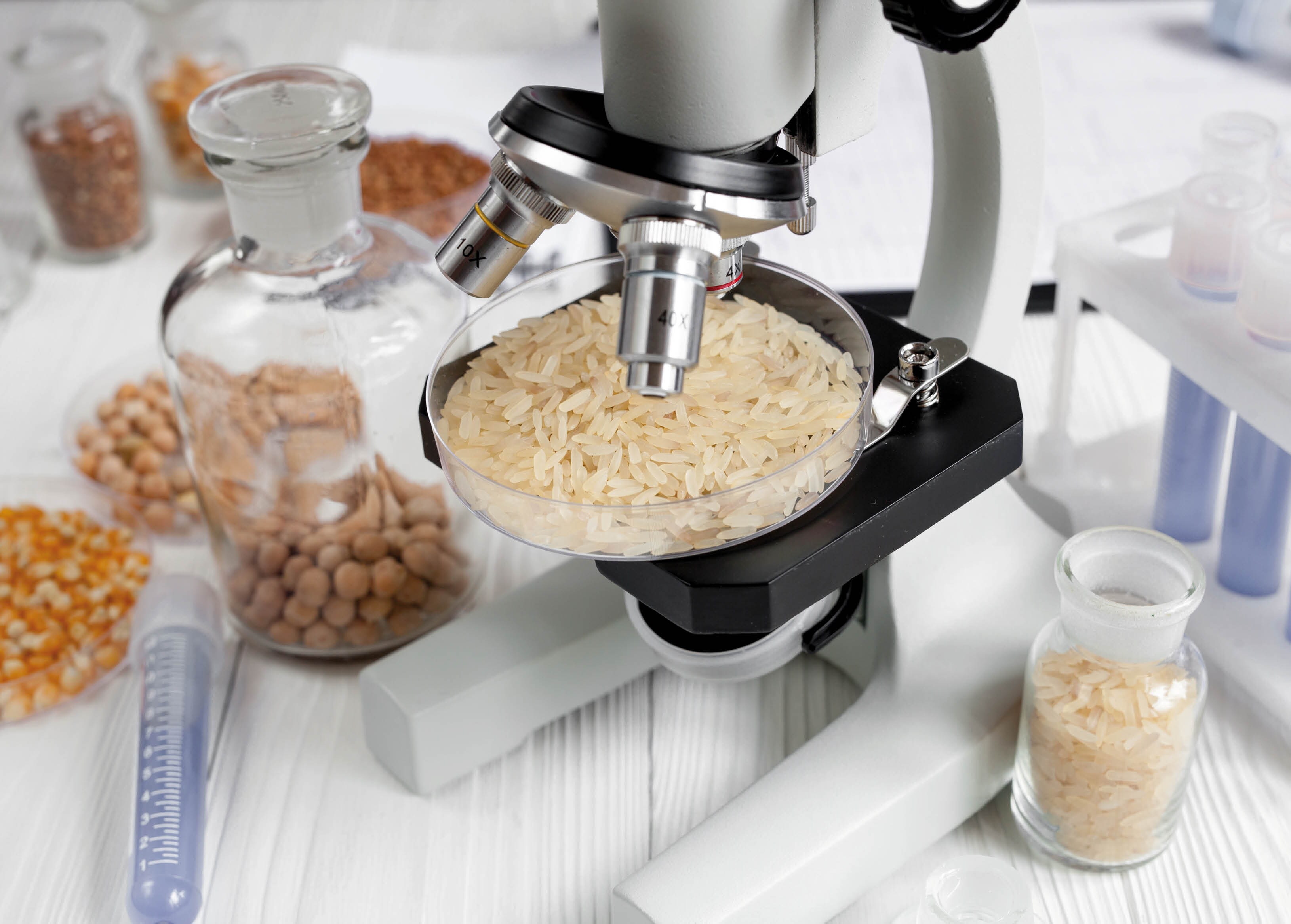 In a generation or so, Basmati will be known as simply a long grain rice. No one will talk of its fragrance or flavour. (Shutterstock) In a generation or so, Basmati will be known as simply a long grain rice. No one will talk of its fragrance or flavour. (Shutterstock)