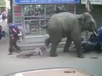 The image shows an elephant rampaging across a street in West Bengal's Hooghly district. The image shows an elephant rampaging across a street in West Bengal's Hooghly district.
