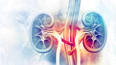 Acute kidney failure vs chronic kidney failure: Treatment, tips to keep kidney problems at bay (HT_PRINT) Acute kidney failure vs chronic kidney failure: Treatment, tips to keep kidney problems at bay (HT_PRINT)