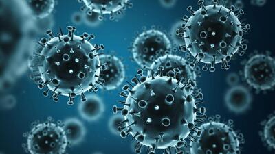 At the Coalition for Epidemic Preparedness Innovations (CEPI), we are developing vaccines to fight a broad range of viruses with epidemic potential (Getty Images/iStockphoto)