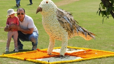 The objective of the festival is to showcase the vibrancy and colourful display of G20 members and guest countries, the NDMC said in a statement. (PTI) The objective of the festival is to showcase the vibrancy and colourful display of G20 members and guest countries, the NDMC said in a statement. (PTI)