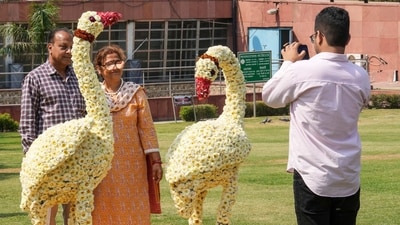 The corporation has provided the required space to all the participating G20 members and guest countries for the festival, the statement said. (PTI) The corporation has provided the required space to all the participating G20 members and guest countries for the festival, the statement said. (PTI)