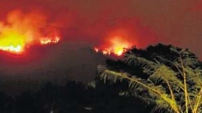 The forest fires were first noticed at a location in Satrem village of the Mhadei Wildlife Sanctuary nearly seven days ago. (HT) The forest fires were first noticed at a location in Satrem village of the Mhadei Wildlife Sanctuary nearly seven days ago. (HT)