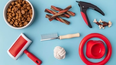 By making sure we have the necessary products on hand, we can ensure our pets are happy, healthy, and well-cared for. (freepik ) By making sure we have the necessary products on hand, we can ensure our pets are happy, healthy, and well-cared for. (freepik )