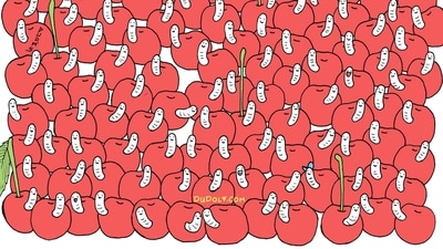 Can you find a cherry without a worm in this viral brain teaser? (Facebook/@thedudolf) Can you find a cherry without a worm in this viral brain teaser? (Facebook/@thedudolf)