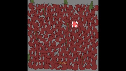 The image highlights the cherry without a worm. (Facebook/@thedudolf) The image highlights the cherry without a worm. (Facebook/@thedudolf)
