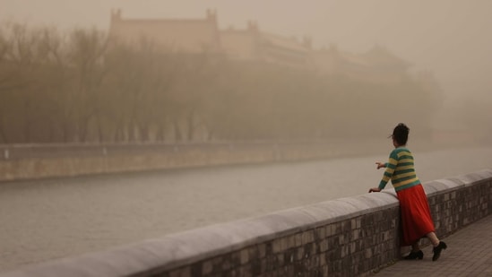 A woman poses for pictures near the Forbidden City, as the city is shrouded in smog amid a sandstorm. The capital also used to be known for regular springtime dust and sandstorms caused by winds blowing in from the loess hills along the upper sections of the Yellow River to the west. Anti-desertification efforts have helped reduce both the frequency and intensity of the storms that had often turned the surrounding air a cataclysmic yellowish-red, reported AP.&nbsp;(Tingshu Wang / Reuters)