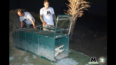 A four-member team from the NGO travelled nearly 120 km in the night to reach the location. (HT Photo) A four-member team from the NGO travelled nearly 120 km in the night to reach the location. (HT Photo)