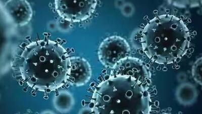 A total of 3,038 laboratory-confirmed cases of various subtypes of influenza including H3N2 were reported in India till March 9 (Representative Photo) A total of 3,038 laboratory-confirmed cases of various subtypes of influenza including H3N2 were reported in India till March 9 (Representative Photo)