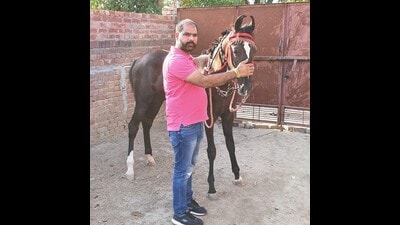 Police said the sarpanch was close to a SHO of Tarn Taran district, who has now been sent to police lines. The SHO also called the Sursingh checkpoint team to not take any action against the sarpanch, said cops privy to the development. (HT Photo) Police said the sarpanch was close to a SHO of Tarn Taran district, who has now been sent to police lines. The SHO also called the Sursingh checkpoint team to not take any action against the sarpanch, said cops privy to the development. (HT Photo)
