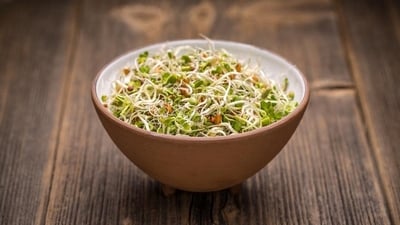 For a quick boost of energy, add some sprouts on your plate (Shutterstock) For a quick boost of energy, add some sprouts on your plate (Shutterstock)
