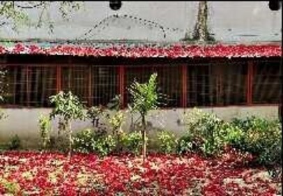 The BSES customer care office at Hazrat Nizamuddin West looks unremarkable for most of the year. But the place turns red every year in March due to its large semal tree, with flowers dropping on the roof, the tin shades, and the grounds; (left) sociology professor Kiran Bhushi’s second floor apartment at Khel Gaon is right under the branches of a luscious semal. The BSES customer care office at Hazrat Nizamuddin West looks unremarkable for most of the year. But the place turns red every year in March due to its large semal tree, with flowers dropping on the roof, the tin shades, and the grounds; (left) sociology professor Kiran Bhushi’s second floor apartment at Khel Gaon is right under the branches of a luscious semal.