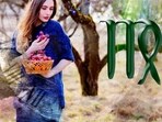 Virgo Daily Horoscope Today for March 14, 2023: Make efforts to maintain a strong bond and keep the spark alive. Virgo Daily Horoscope Today for March 14, 2023: Make efforts to maintain a strong bond and keep the spark alive.