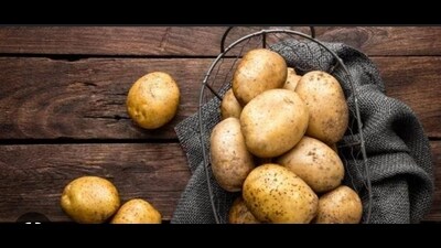 Aware of the problem, the government has decided to buy potatoes from farmers at ₹650 per quintal for a month in a select number of potato-growing districts like Kannauj, Farukkhabad, Agra, Etah, Kasganj and Mainpuri so that farmers do not have to go for distress sale. (Pic for representation) Aware of the problem, the government has decided to buy potatoes from farmers at ₹650 per quintal for a month in a select number of potato-growing districts like Kannauj, Farukkhabad, Agra, Etah, Kasganj and Mainpuri so that farmers do not have to go for distress sale. (Pic for representation)