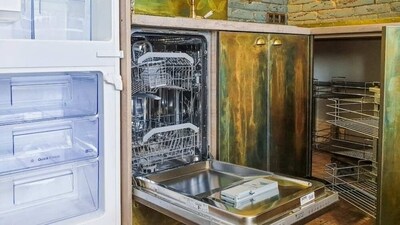 Working women and nuclear family members can't do without a dishwasher in today's world. (Pexels) Working women and nuclear family members can't do without a dishwasher in today's world. (Pexels)