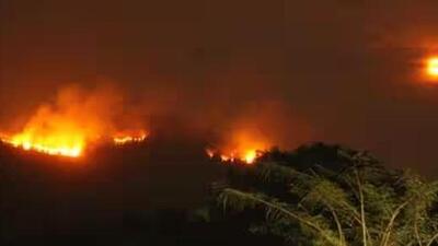 Eight uncontrolled wildfires remained active in the forests of Goa on Monday (File Photo) Eight uncontrolled wildfires remained active in the forests of Goa on Monday (File Photo)