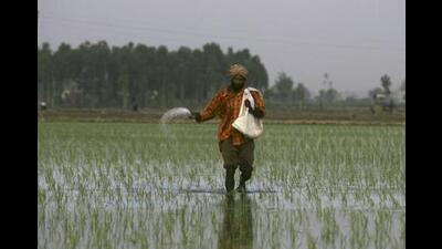 Out of 8,200 cusecs water in UBDC for irrigation purposes, 2,700 cusecs go waste, as the water channels could only hold 5500 cusecs. (AP file photo) Out of 8,200 cusecs water in UBDC for irrigation purposes, 2,700 cusecs go waste, as the water channels could only hold 5500 cusecs. (AP file photo)
