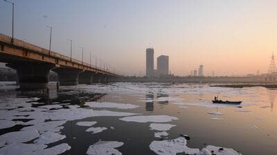 The Maharashtra Pollution Control Board (MPCB) on Monday issued notices to a sugar factory and a distillery after industry effluent was discharged into the Krishna River, leading to the death of fish in the waterbody in Sangli district. (REPRESENTATIVE IMAGE) The Maharashtra Pollution Control Board (MPCB) on Monday issued notices to a sugar factory and a distillery after industry effluent was discharged into the Krishna River, leading to the death of fish in the waterbody in Sangli district. (REPRESENTATIVE IMAGE)