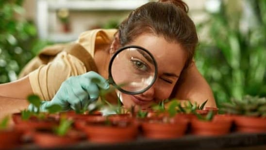 Learn new skills: Learning new skills can help boost self-confidence by expanding your knowledge and abilities. Consider taking a course, volunteering, or pursuing a hobby that interests you.(Unsplash)