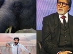 Amitabh Bachchan is elated as India wins two Oscars, for RRR and The Elephant Whisperers.