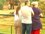 Tourists at  Mudumalai Theppakadu elephant camp in Tamil Nadu