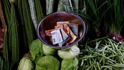 WPI inflation: The reading was lower than the Reuters forecast of 4.00%. (Reuters)