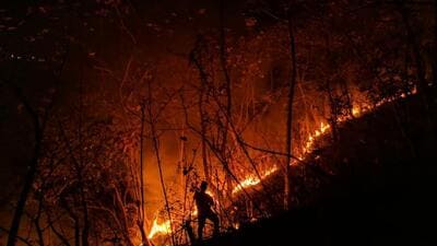 While heat and dry soil make conditions conducive for the spread of forest fires, the triggers may also be not just the climate conditions; often, locals clear land for farming-related activities or sometimes sheer carelessness of people (HT PHOTO) While heat and dry soil make conditions conducive for the spread of forest fires, the triggers may also be not just the climate conditions; often, locals clear land for farming-related activities or sometimes sheer carelessness of people (HT PHOTO)