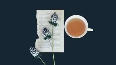 Mullein Tea: Mullein tea is a herbal infusion made from the leaves of the mullein plant (Verbascum thapsus) and has been traditionally used for respiratory issues like cough, bronchitis, and asthma. (Unsplash) Mullein Tea: Mullein tea is a herbal infusion made from the leaves of the mullein plant (Verbascum thapsus) and has been traditionally used for respiratory issues like cough, bronchitis, and asthma. (Unsplash)