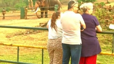 Tourists at  Mudumalai Theppakadu elephant camp in Tamil Nadu (ANI)