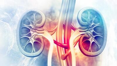 A 19-year-old Himachal Pradesh youth, who was declared brain dead after suffering injuries in an accident, gave new lease of life to two people after his family agreed to donate his kidneys at the Post Graduate Institute of Medical Education and Research (PGIMER). (Image for representational purpose)