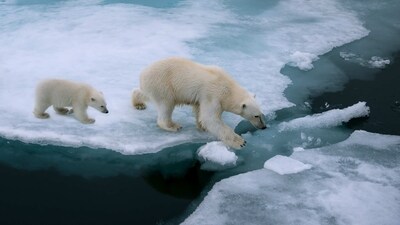 Warm water may now be reaching previously elusive parts of Antarctica, which — with its perennial ice cover — acts as an important temperature regulator for the planet. (Shutterstock) Warm water may now be reaching previously elusive parts of Antarctica, which — with its perennial ice cover — acts as an important temperature regulator for the planet. (Shutterstock)