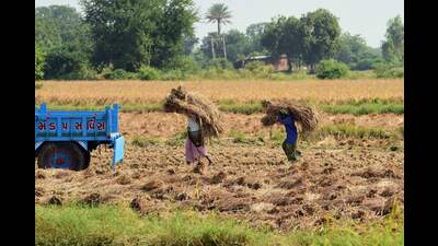Since the launch of PM Kisan scheme in 2019, nearly 110 million farmers have received  ₹2.50 lakh crore in all, spread over 13 instalments. (AFP)