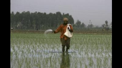 The G20 leadership is an excellent platform for India to mobilise member- countries to address climate risk-management solutions (AP)