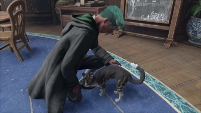 The developers of Hogwarts Legacy have gone above and beyond to ensure the safety of the feline inhabitants of Hogwarts The developers of Hogwarts Legacy have gone above and beyond to ensure the safety of the feline inhabitants of Hogwarts