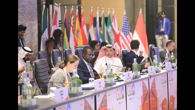 Delegates members during the G-20-2023 2nd Education Working Group Meeting in Amritsar on Thursday. (HT Photo) Delegates members during the G-20-2023 2nd Education Working Group Meeting in Amritsar on Thursday. (HT Photo)