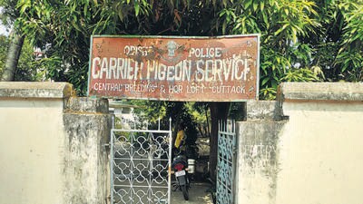 HT PHOTO (The gate creaks open at 6am every morning when pigeon trainer Parsuram Nanda, sub-inspector Sanjay Mahali and constable Sanjay Biswal arrive) HT PHOTO (The gate creaks open at 6am every morning when pigeon trainer Parsuram Nanda, sub-inspector Sanjay Mahali and constable Sanjay Biswal arrive)