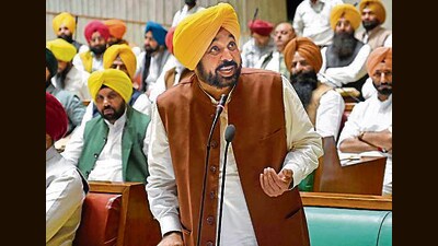 Listing out the achievements of the AAP government on completion of one year in office, Mann said his priority was not the next government, but next generation (HT File Photo)