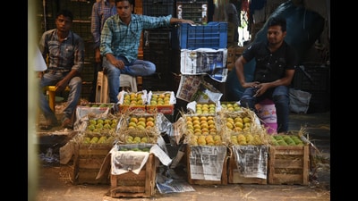 Navi Mumbai, India - March 14, 2023:Alphanso mangoes received this year in March are three times more than last year at APMC fruit Market Turbhe in Navi Mumbai, India, on Tuesday, March 14, 2023. (Photo by Bachchan Kumar/ HT PHOTO) (HT PHOTO) Navi Mumbai, India - March 14, 2023:Alphanso mangoes received this year in March are three times more than last year at APMC fruit Market Turbhe in Navi Mumbai, India, on Tuesday, March 14, 2023. (Photo by Bachchan Kumar/ HT PHOTO) (HT PHOTO)