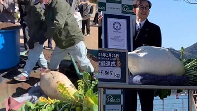 Japanese company grows heaviest radish. (Instagram/@Guinness World Records) Japanese company grows heaviest radish. (Instagram/@Guinness World Records)