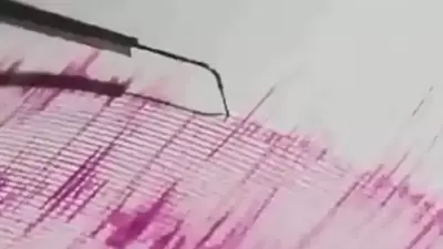 New Zealand earthquake: The quake was at a depth of 10 km. (Representational)