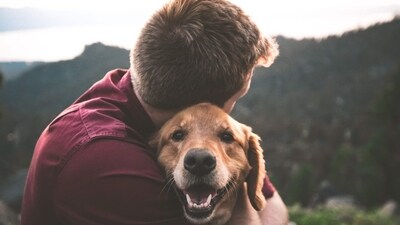 8. Stay Positive: A positive attitude can go a long way in enhancing your productivity and job satisfaction. Focus on the positives, cultivate a growth mindset, and celebrate your achievements. (Unsplash) 8. Stay Positive: A positive attitude can go a long way in enhancing your productivity and job satisfaction. Focus on the positives, cultivate a growth mindset, and celebrate your achievements. (Unsplash)