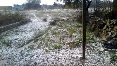 Thousands of acres were destroyed as untimely rains, accompanied by thunderous hailstorm, lashed parts of Telangana in the last 24 hours. (HT Archives) Thousands of acres were destroyed as untimely rains, accompanied by thunderous hailstorm, lashed parts of Telangana in the last 24 hours. (HT Archives)
