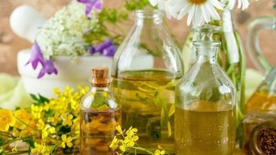 Investing in a good skincare regime is crucial to maintain healthy and glowing skin. One way to enhance your routine is by incorporating natural oils into your skincare regime. Oils can do wonders for your skin, from moisturizing and hydrating to preventing breakouts and reducing inflammation. Here are seven oils to include in your skincare regime: (File Photo (Shutterstock)) Investing in a good skincare regime is crucial to maintain healthy and glowing skin. One way to enhance your routine is by incorporating natural oils into your skincare regime. Oils can do wonders for your skin, from moisturizing and hydrating to preventing breakouts and reducing inflammation. Here are seven oils to include in your skincare regime: (File Photo (Shutterstock))