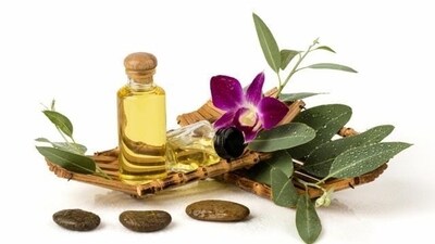 Jojoba Oil: This oil is rich in antioxidants and has anti-inflammatory properties. It is perfect for oily and acne-prone skin, as it regulates the production of sebum and prevents clogged pores. (File Photo (Shutterstock)) Jojoba Oil: This oil is rich in antioxidants and has anti-inflammatory properties. It is perfect for oily and acne-prone skin, as it regulates the production of sebum and prevents clogged pores. (File Photo (Shutterstock))