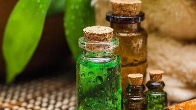 Tea Tree Oil: This oil has antibacterial and antifungal properties, making it a perfect ingredient for preventing breakouts and reducing acne. (File Photo) Tea Tree Oil: This oil has antibacterial and antifungal properties, making it a perfect ingredient for preventing breakouts and reducing acne. (File Photo)