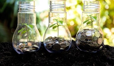 Many business activities, especially activities related to resource extraction and cultivation, contribute to the pressures driving biodiversity loss. But this crisis also creates an opportunity. (Shutterstock) Many business activities, especially activities related to resource extraction and cultivation, contribute to the pressures driving biodiversity loss. But this crisis also creates an opportunity. (Shutterstock)