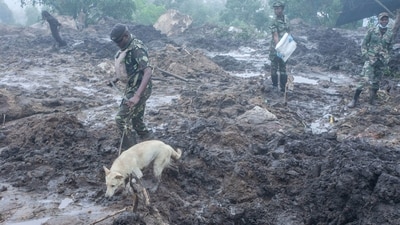 A Malawi Police service dog handler leads a sniffer dog into the area of mudslide disaster during a joint search and rescue operation to recover bodies of victims of the mudslide at Manje informal settlement up on the slopes of Soche Hill in Blantyre, Malawi. Scientists say human-caused climate change has worsened cyclone activity, making them wetter, more intense and more frequent, reported AP. (Amos Gumulira / AFP) A Malawi Police service dog handler leads a sniffer dog into the area of mudslide disaster during a joint search and rescue operation to recover bodies of victims of the mudslide at Manje informal settlement up on the slopes of Soche Hill in Blantyre, Malawi. Scientists say human-caused climate change has worsened cyclone activity, making them wetter, more intense and more frequent, reported AP. (Amos Gumulira / AFP)